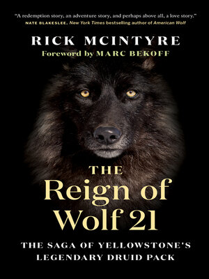 cover image of The Reign of Wolf 21